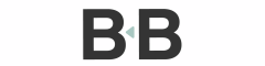 Bigblue Search Ltd Logo