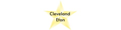 Electrical Project Manager Logo