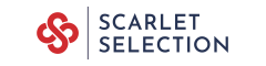 Bid Manager - Public Sector Logo